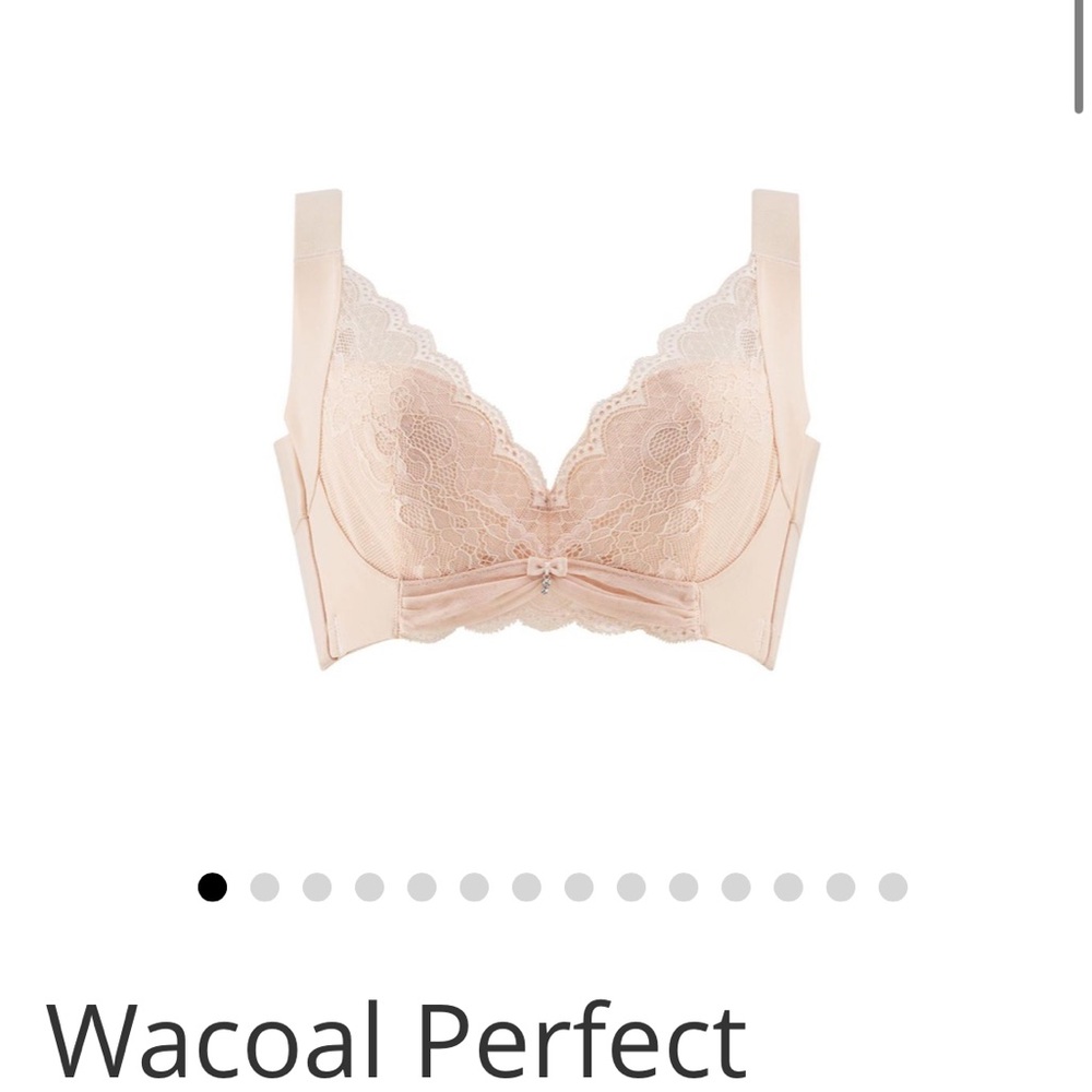 Wacoal Perfect Lace Bra in Cream